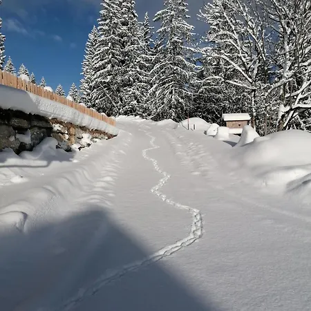 公寓 Chalet Stegerhof *