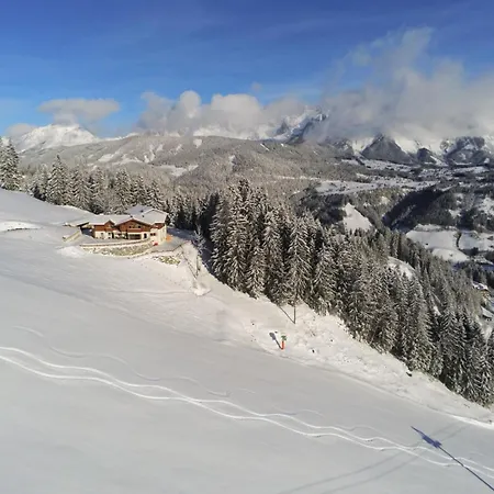 Chalet Stegerhof * 斯拉德明